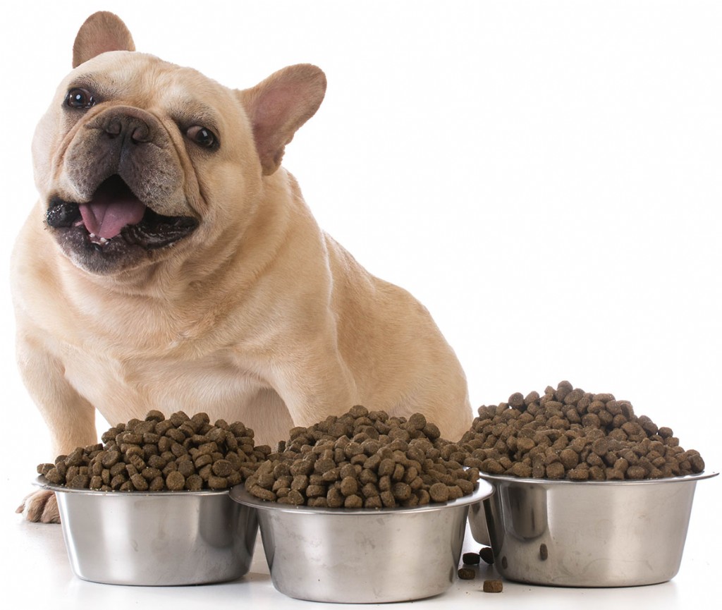 pet food analysis with nir